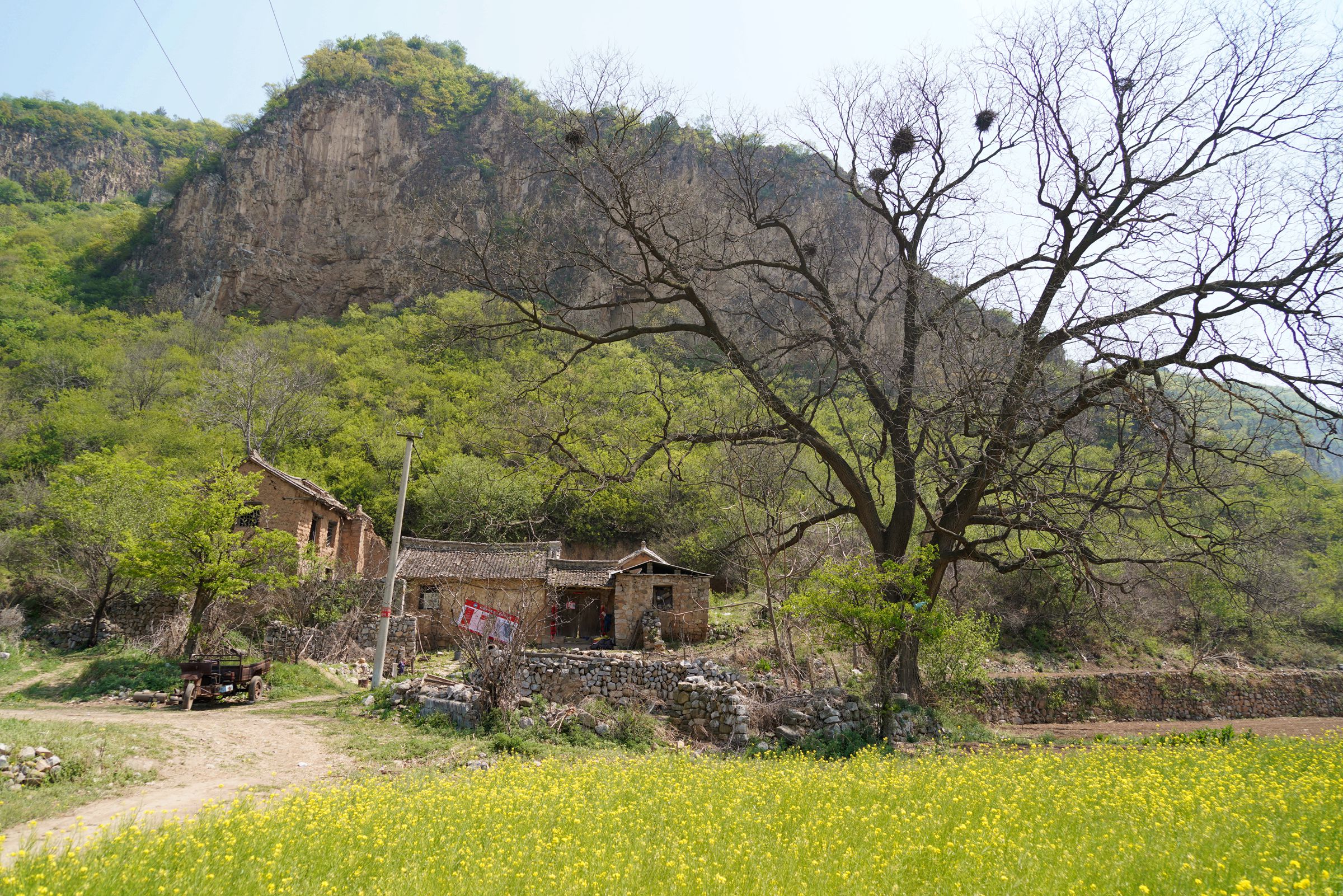 原创深山人家大门紧锁,山坡上放黄牛院子里跑土鸡,主人身份神秘