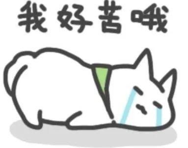 在夏天，你最讨厌的事是什么？