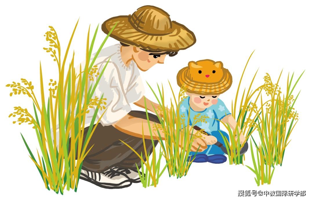 【研学复盘】如何在研学旅行实践活动中做好研学目标评价