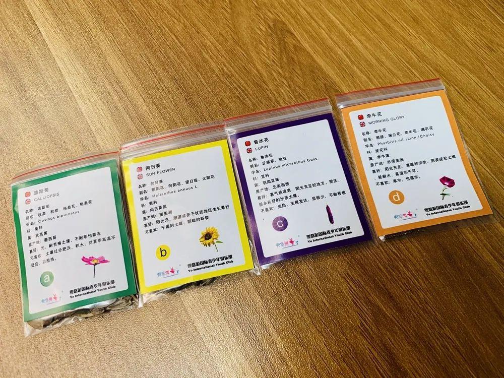 【套装】体验期待,这套家庭种植套装帮你在家和孩子一起完成仪式感79元/2套| 经历播种
