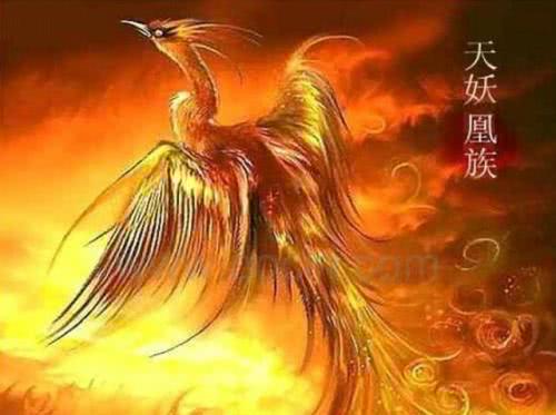 斗破九彩吞天蟒远古九头蛇太虚古龙这三大魔兽谁更强些