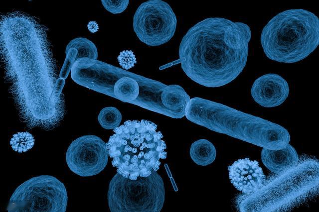 2020生物学学专业大_罗切斯特大学生物专业排名2020年重要消息(2)
