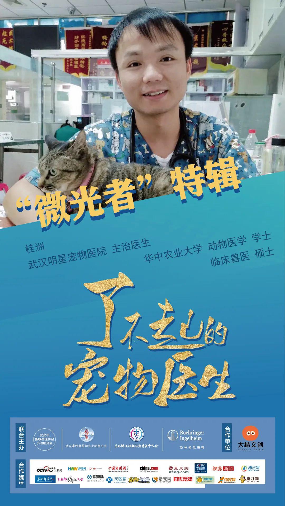 宠物医院排行榜_宠物健康受重视,重庆TOP10宠物医院榜单告诉你怎么选