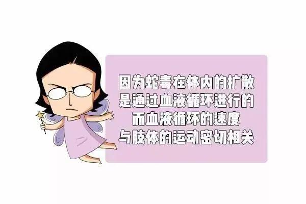 梦见被蛇咬屁股，深层警示与自我疗愈指南