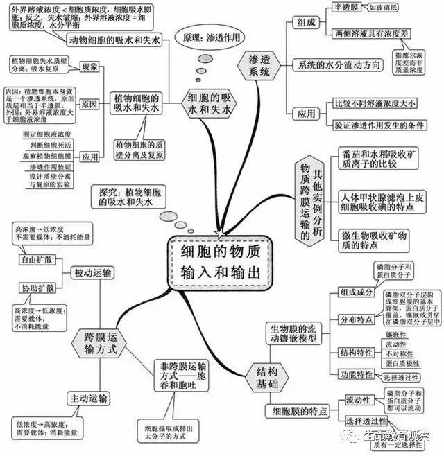 20张生物思维导图最全版本_细胞