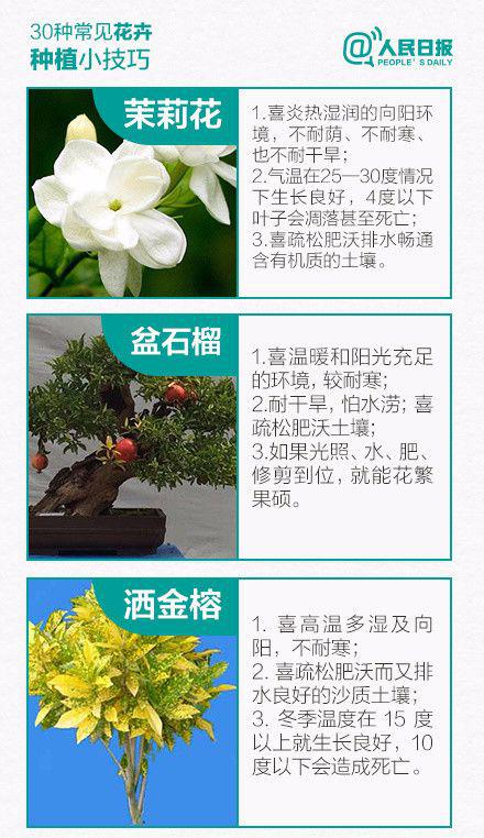 教会你养花，只要用这３句话
