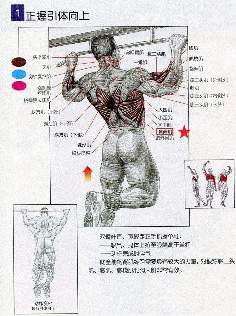 37f404e4d82245c3881c053448166282.jpeg