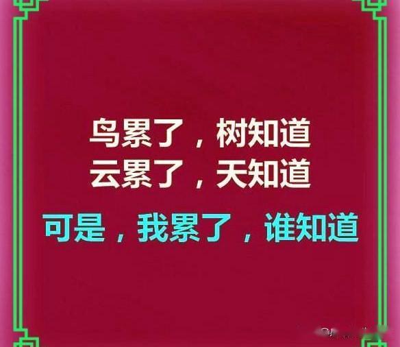 鸟累了,树知道,云累了,天知道,可是,我累了,谁知道?