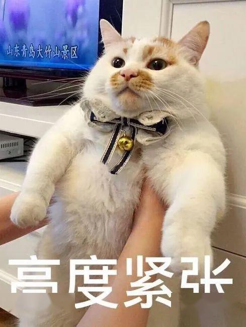 『专业』如何选择大学专业?一文秒懂不同分数段的考生