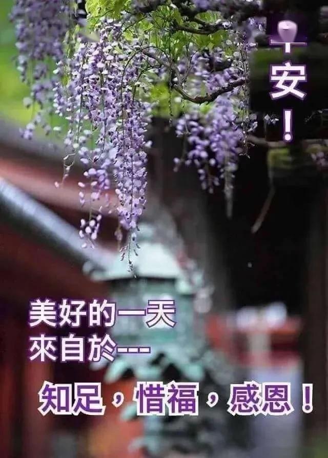 感动,是因为有人惦记;幸福,是因为有人可想,早安