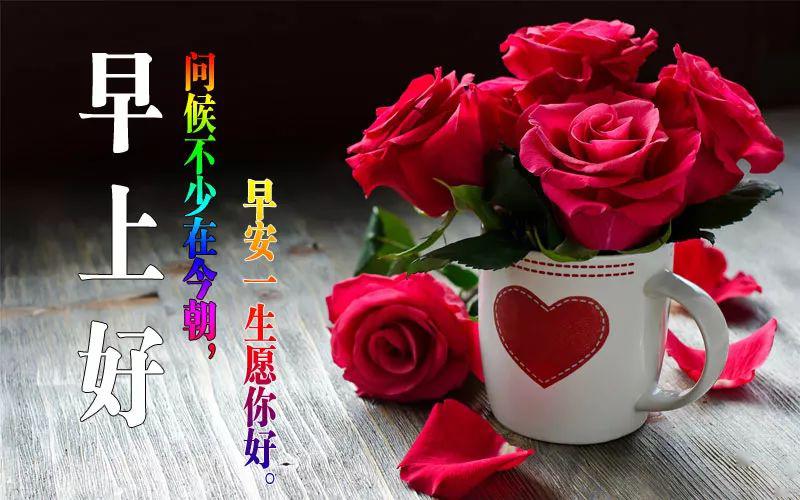 非常漂亮的美女早上好问候表情图片