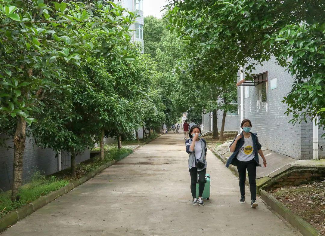 同学,好久不见——直击通山一中高三学生复学第一天