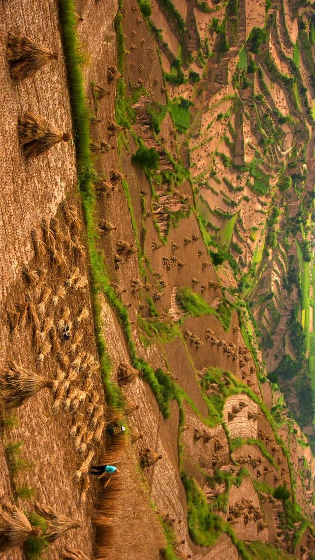 为增加更多的耕地面积,人们开始大规模梯田,山西昔阳的大寨乡,因此一