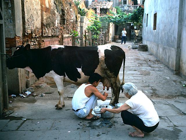 1982年生活记忆,外国摄影师镜头下的中国城镇