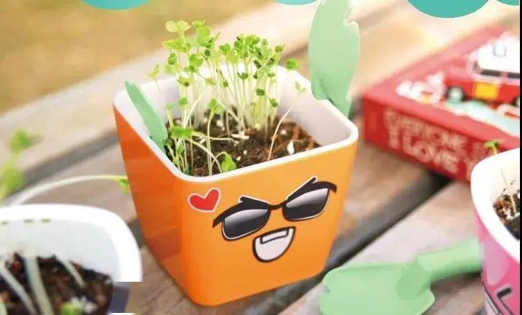 【套装】体验期待,这套家庭种植套装帮你在家和孩子一起完成仪式感79元/2套| 经历播种