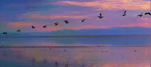 2020年樟树市乡镇经_5月8日开幕!2020湘阴第五届乡村文化旅游节暨樟树港