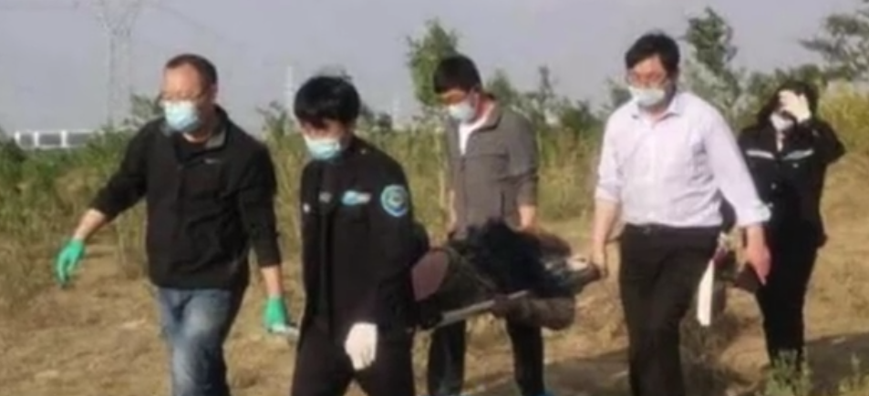 活埋79岁瘫痪老母，没有一个理由可以当借口