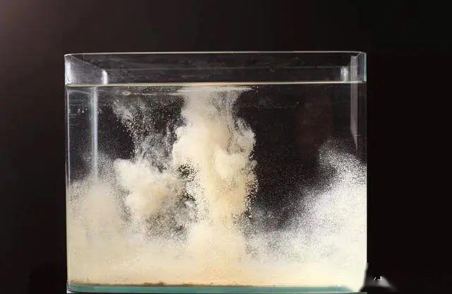 什么是黑坑散炮 722de0fb4829452c80e13f516a7407ca.jpeg