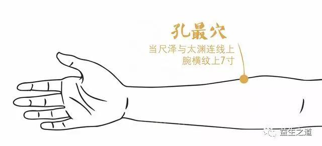 取穴:孔最穴位于伸臂侧掌,前臂掌面桡侧,尺泽与太渊连线上,腕横纹上7