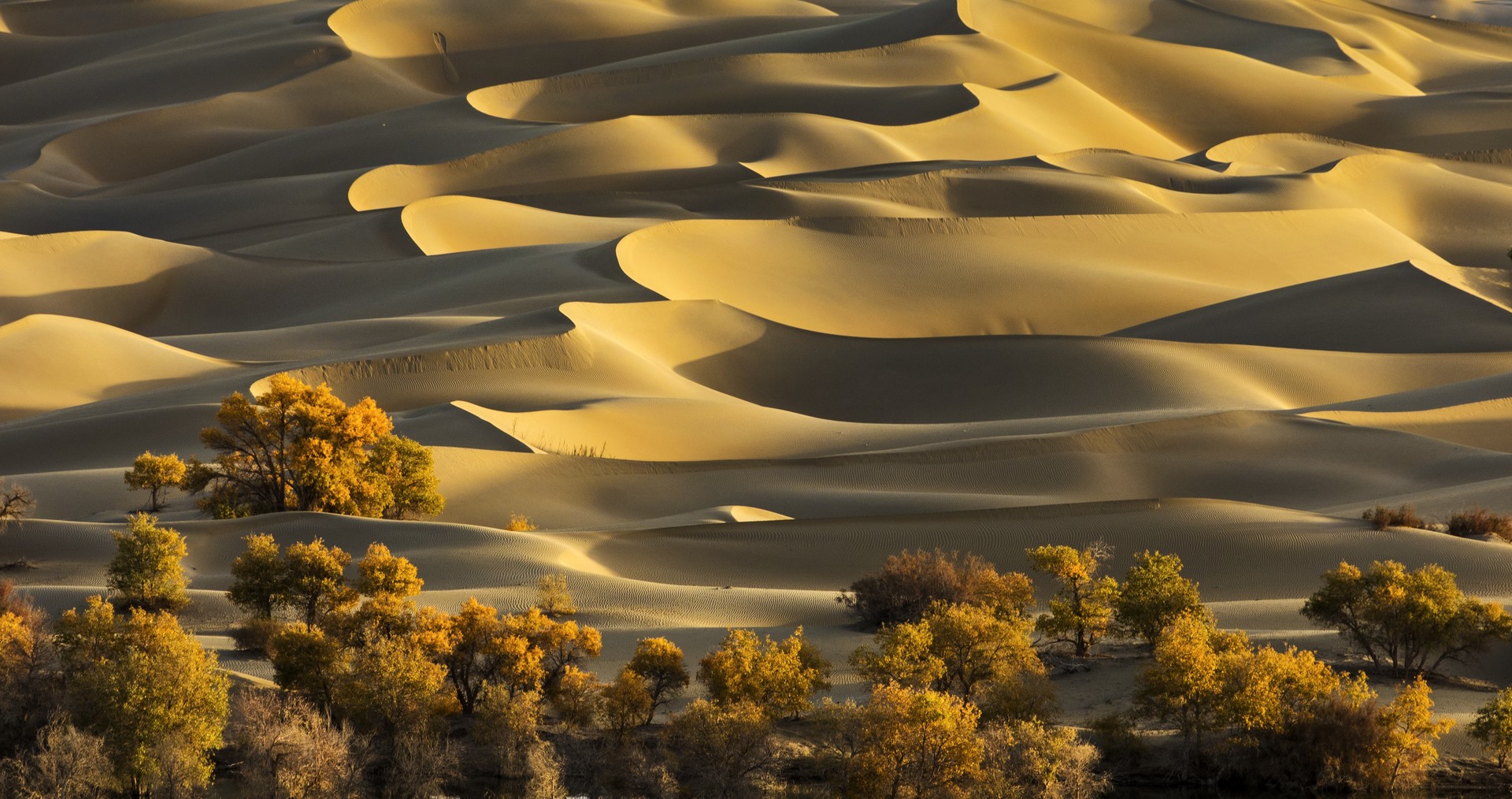 中国第一大沙漠,面积相当于整个德国