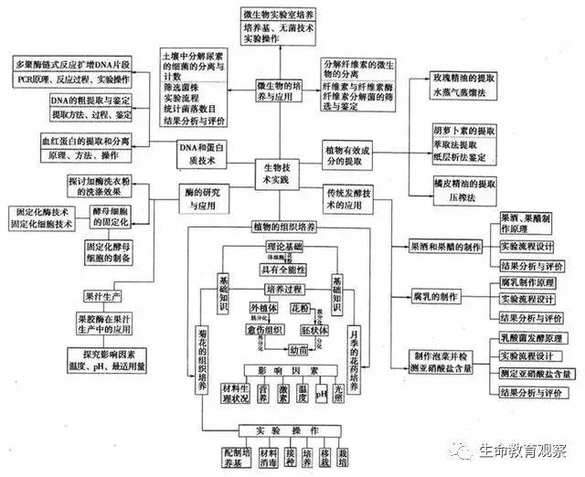 20张生物思维导图最全版本_细胞