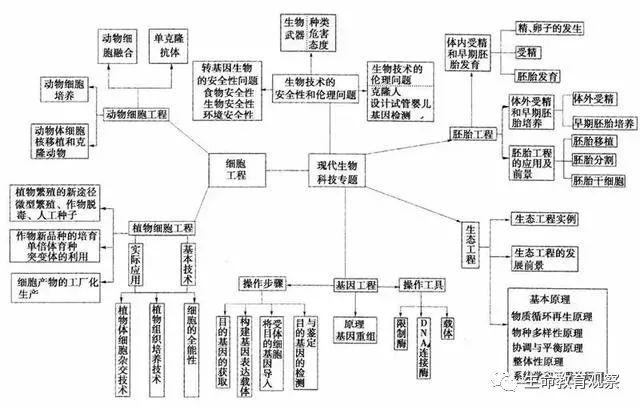 学霸整理!20张生物思维导图最全版本