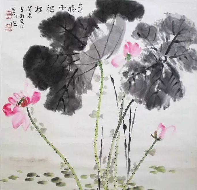 霍春阳画的这些荷花太美啦