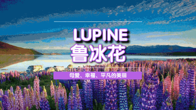 【套装】体验期待,这套家庭种植套装帮你在家和孩子一起完成仪式感79元/2套| 经历播种