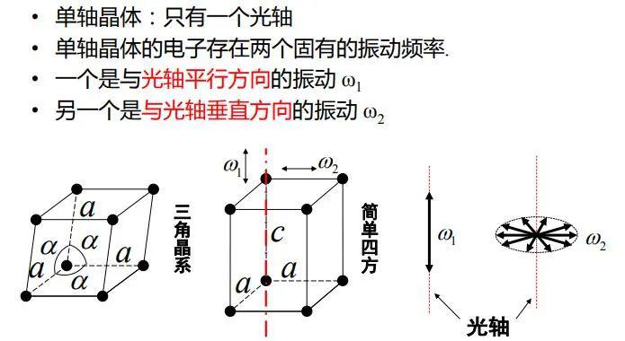 层析分离物质的原理及Rf值是什么_层析柱原理(2)