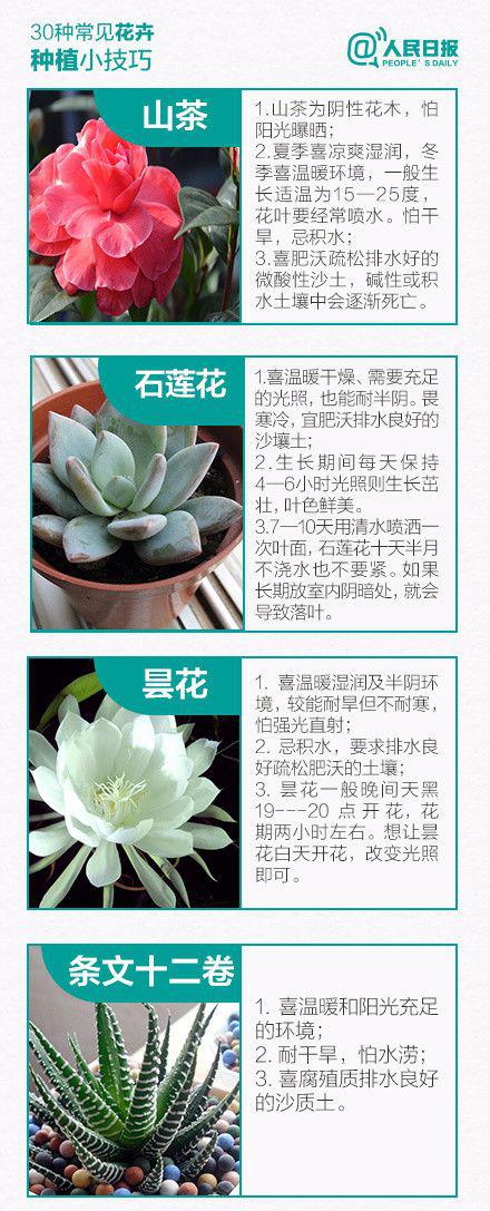 教会你养花，只要用这３句话