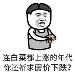 一方涨到2100开发商拿地从10000涨到30000我只能说还拿钱买房干什么?