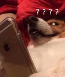 爷爷从6楼吊9岁孙子爬窗开门：开锁费不能这样省