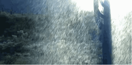 我市有明显风雨