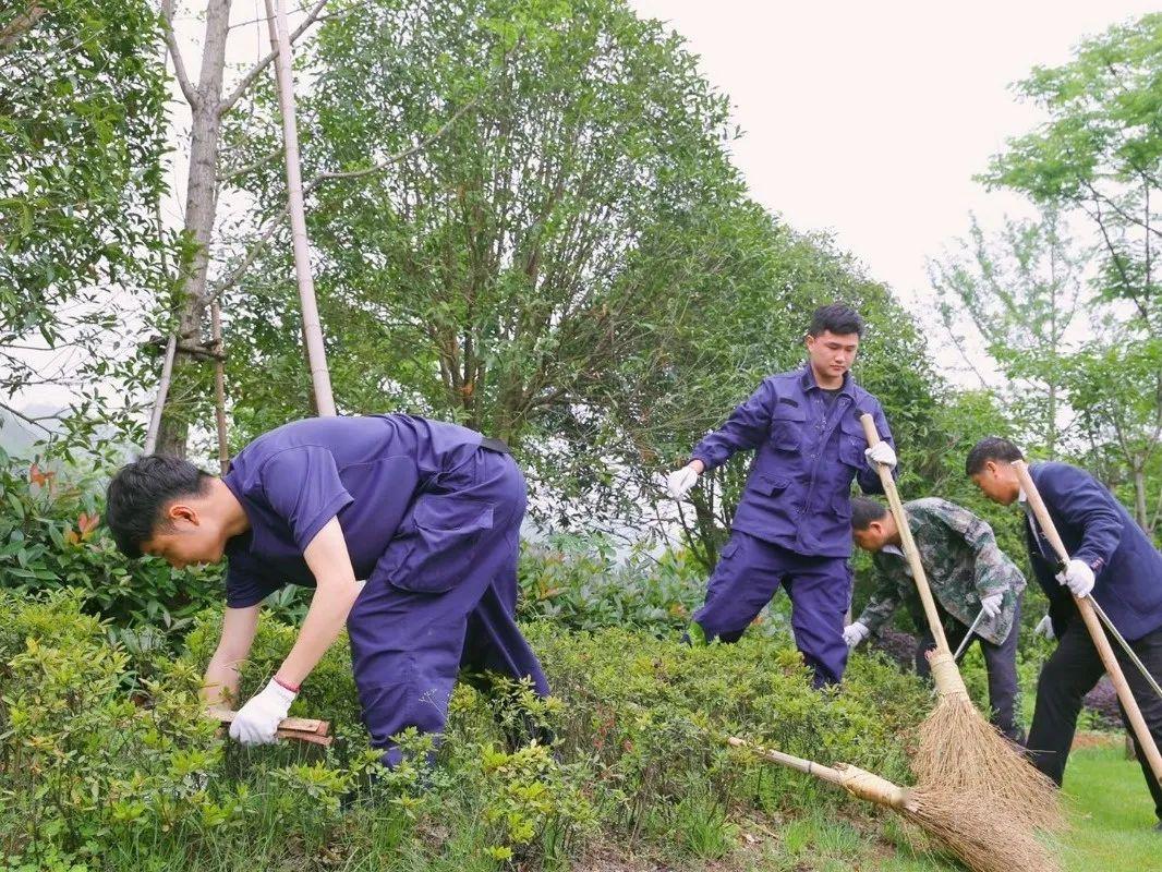 道、沿线绿化带等重点区域进行集中整治，清扫卫生死角、清除乱堆乱放。