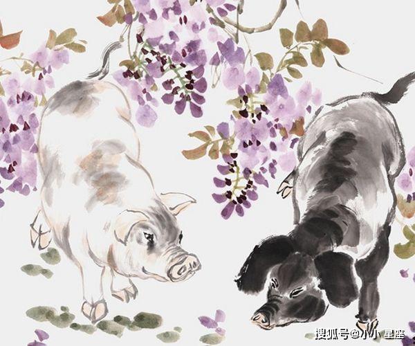 原创"十猪九苦,只有这个月出生的属猪人,晚年福运旺,能翻身!