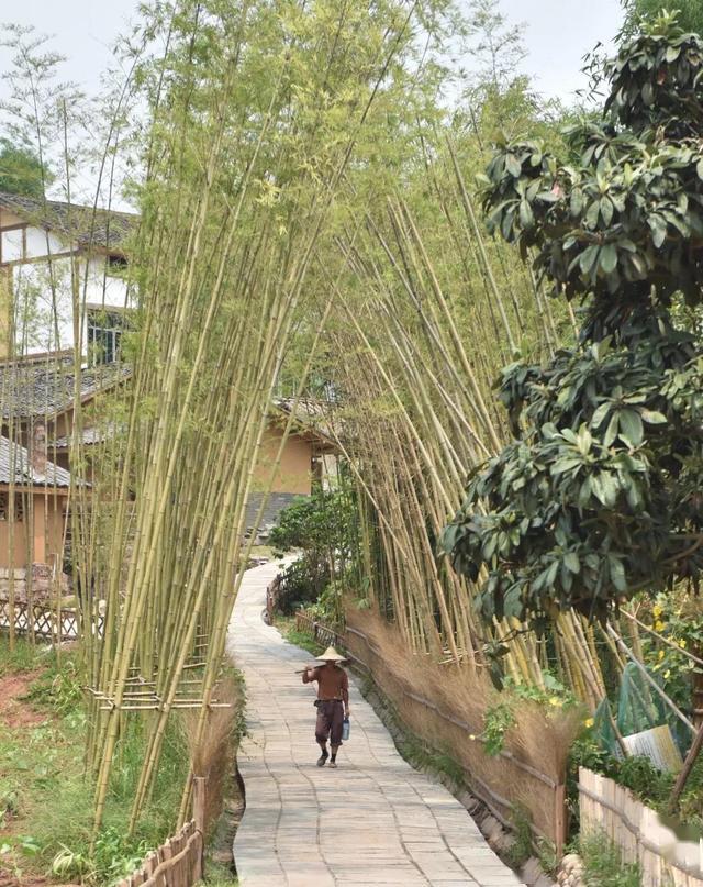 高桥竹村:回味与竹的奇遇时光