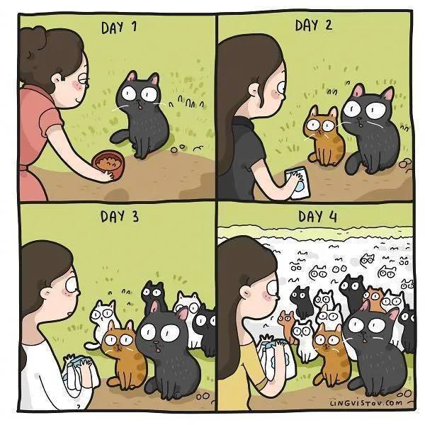 猫咪到底有多"贱"?俄罗斯插画师用四格漫画告诉你