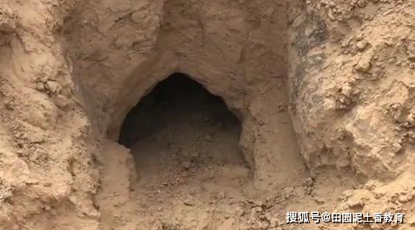 梦魇之境，解读梦见姐姐被泥土掩埋死了的深层含义