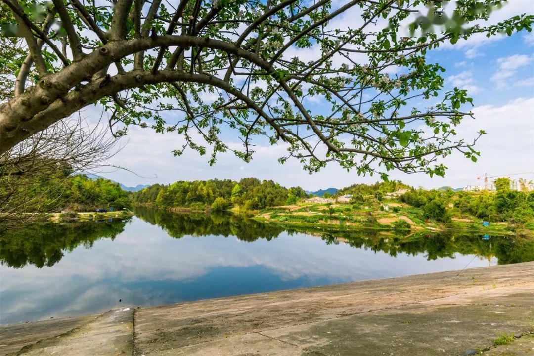 利用现有金马水库景观而打造的湖泊型湿地公园,是目前恩施州唯一一个