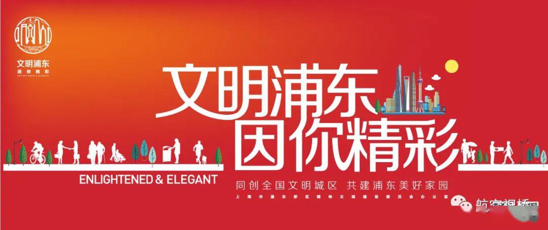 积极整改专题研究祝桥镇以浦东新区创建第六届全国文明城区工作为抓手