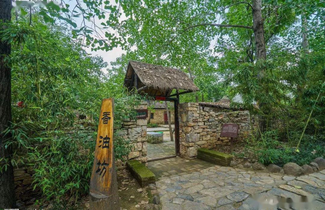 农村几乎每家每户都有庭院,城市中有些一层住户家里也有小庭院,庭院