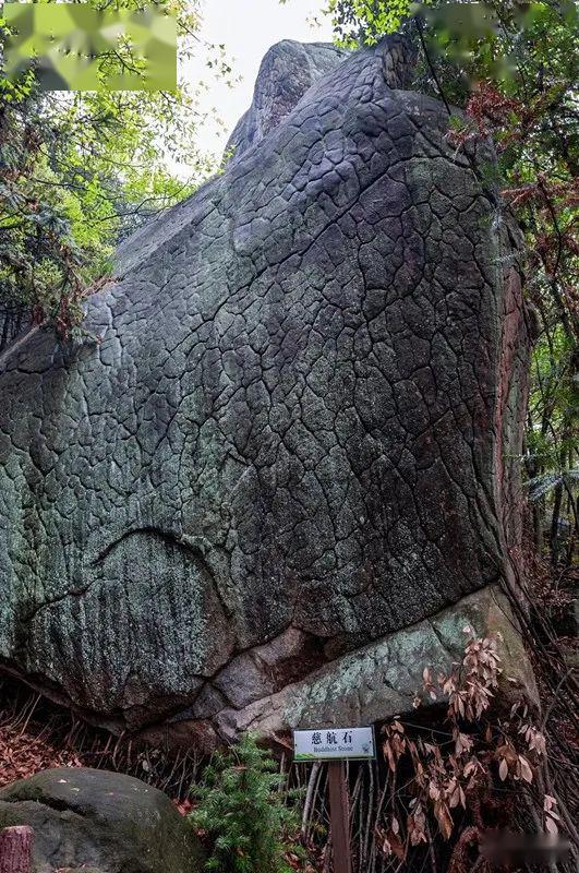 来西风禅寺听一场佛说_太湖