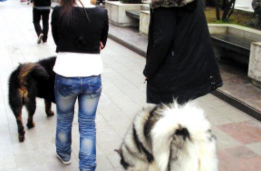 什么是舔狗男生 03f777bc0529433b8ee172f6fd3edd4b.jpeg