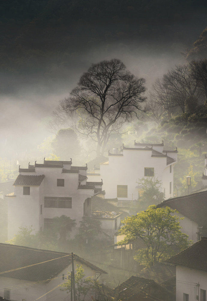 婺源:岚雾今朝重,江山此地深