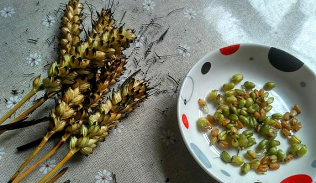吃药后多久吃食物 0e2cc5bddfca4c38b094ba0c88fb6d5b.png