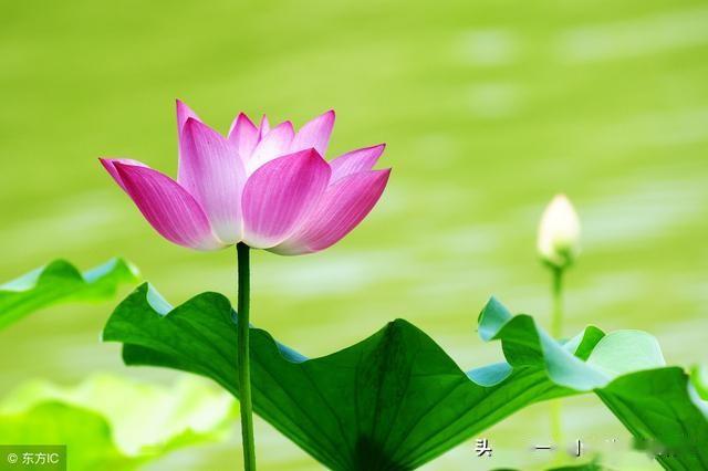 一个人失了什么别丢人品,一颗心忘了什么别遗善良