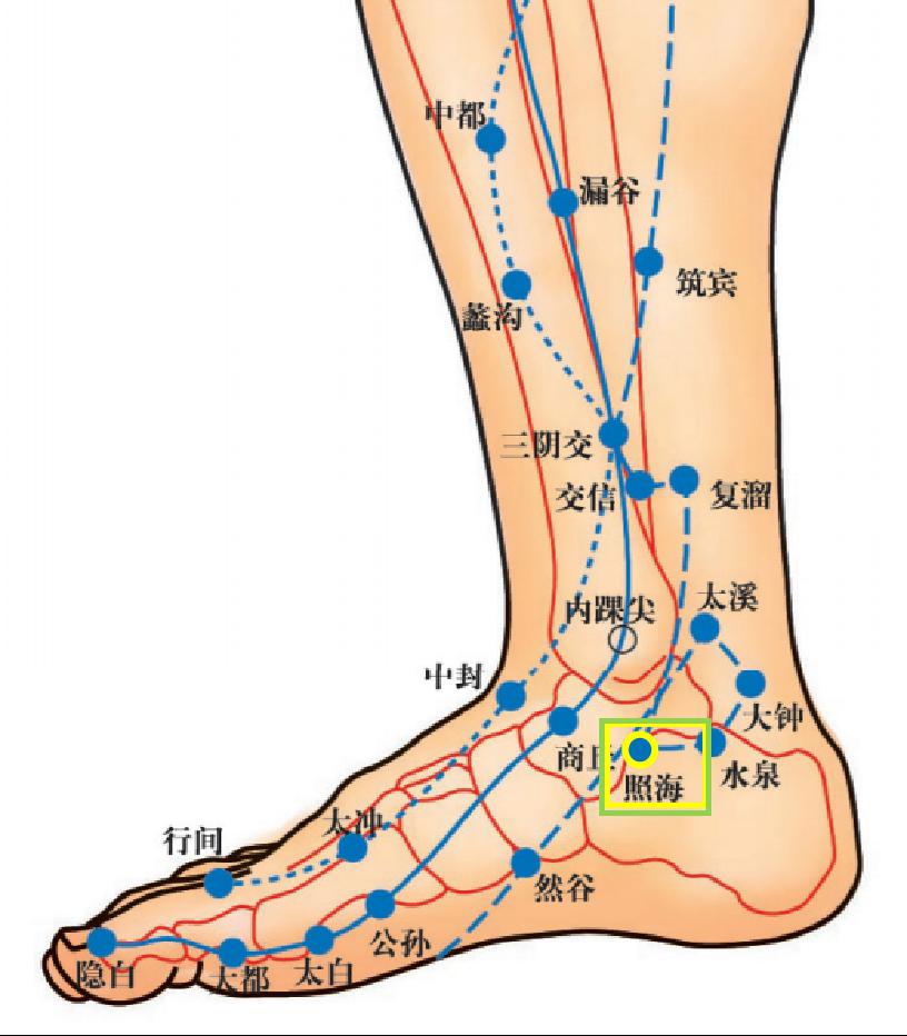 【定位】内踝高点正下缘凹陷处.