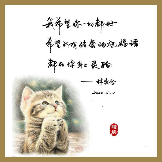 梦魇边缘的温柔,解析梦见自己把小猫小狗往外面扔的深层含义 梦魇边缘的温柔,解析梦见自己把小猫小狗往外面扔的深层含义