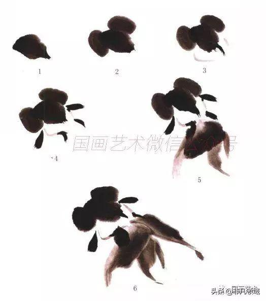 图文教程:中国画技法新解之金鱼画法