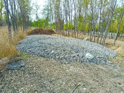 「黄土很」路边树林有人偷倒渣土，